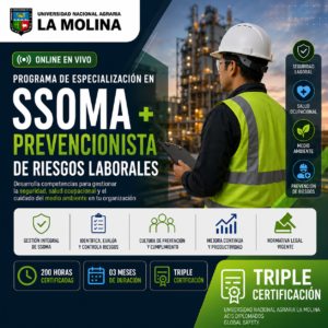 Seguridad, Salud Ocupacional y Medio Ambiente (SSOMA) + Prevencionista de Riesgos Laborales